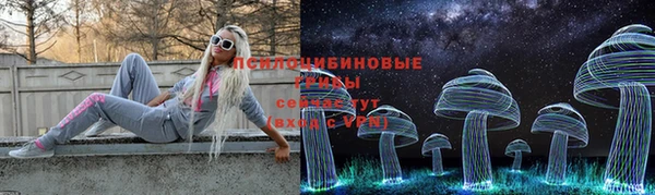apvp Алексеевка