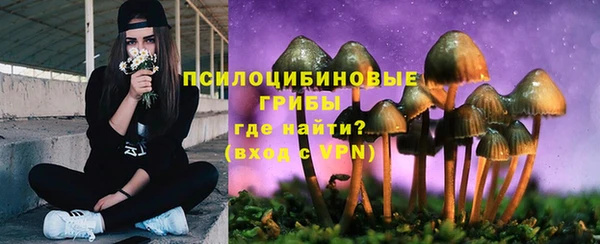 молекула духа Алзамай